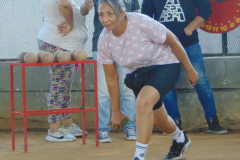 DSC00532